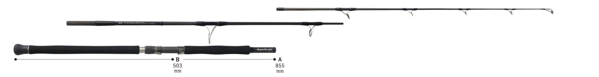 Ripple Fisher Aquila Ex 83-6 Offshore Boat Casting Rod – GT FIGHT CLUB