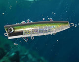 D-Claw Popopo Saltwater GT Popper Floating Lure 180mm / 148g