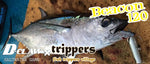 D-Claw Trippers Collaboration Model Beacon 120 Saltwater Popper Lure 120mm / 40g