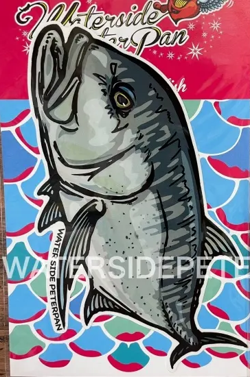Waterside peterpan Fish Stickers Regular / GT