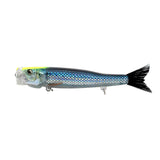 Little Jack Bilhouette Brush Tail 