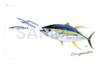 Carpenter Stickers Yellowfin Tuna chasing Pacific Saury