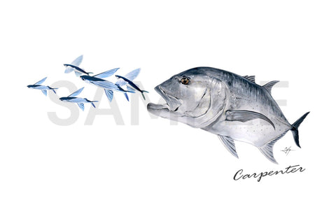 Carpenter Stickers GT - Giant Trevally chasing Flying Fish