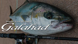 Yamaga Blanks Galahad 634S Spinning Model Jigging Fishing Rod