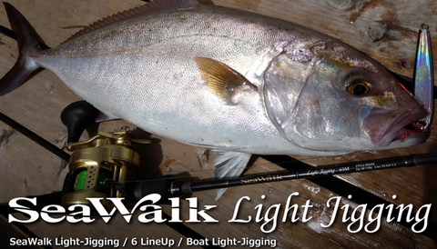 Yamaga Blanks Seawalk Light Jigging B66ML Baitcast Rod